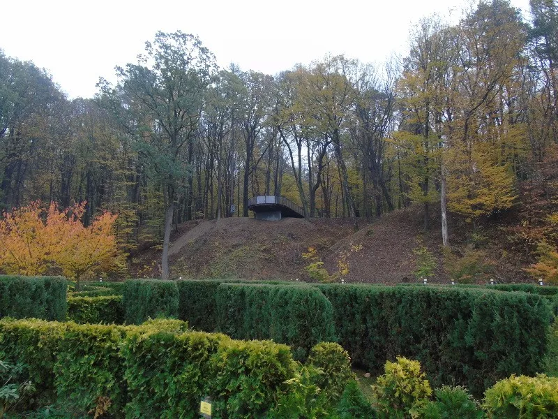 Arboretum Bramy Morawskiej
